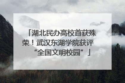 湖北民办高校首获殊荣！武汉东湖学院获评“全国文明校园”