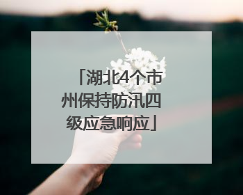 湖北4个市州保持防汛四级应急响应