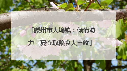 滕州市大坞镇：倾情助力三夏夺取粮食大丰收