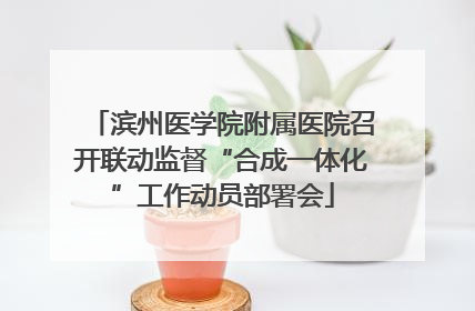 滨州医学院附属医院召开联动监督“合成一体化”工作动员部署会