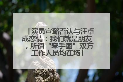 演员宣璐否认与汪卓成恋情：我们就是朋友，所谓“牵手图”双方工作人员均在场