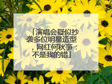 演唱会疑似抄袭多位明星造型，网红何秋亊：不是我的错