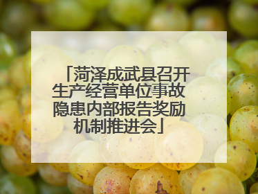 菏泽成武县召开生产经营单位事故隐患内部报告奖励机制推进会