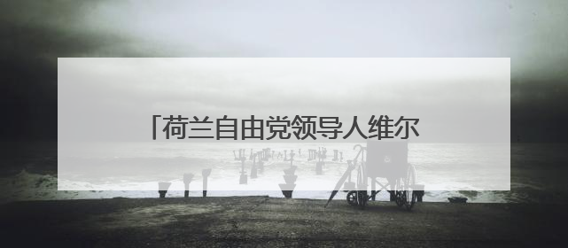 荷兰自由党领导人维尔德斯宣布退出联合政府