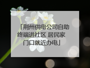 荆州供电公司自助终端进社区 居民家门口就近办电