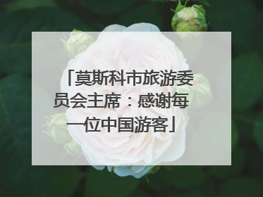 莫斯科市旅游委员会主席：感谢每一位中国游客