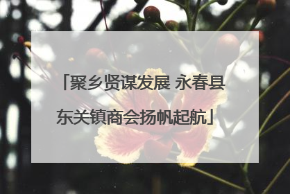 聚乡贤谋发展 永春县东关镇商会扬帆起航