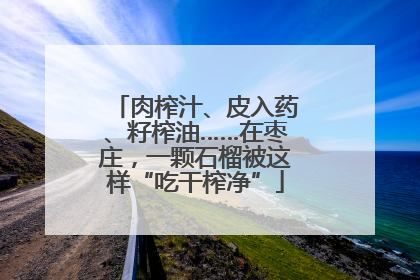 肉榨汁、皮入药、籽榨油……在枣庄，一颗石榴被这样“吃干榨净”