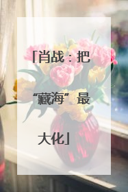 肖战：把“藏海”最大化