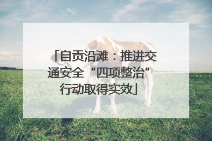 自贡沿滩：推进交通安全“四项整治”行动取得实效
