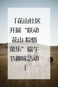 花山社区开展“跃动花山 粽情童乐”端午节趣味活动