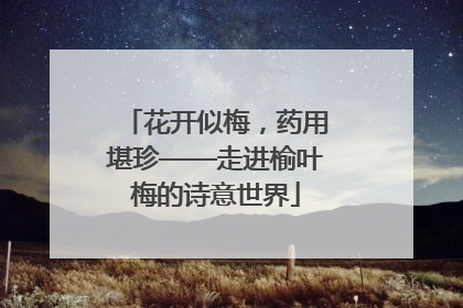 花开似梅，药用堪珍——走进榆叶梅的诗意世界