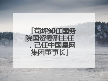 苟坪卸任国务院国资委副主任，已任中国星网集团董事长