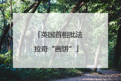 英国首相批法拉奇“画饼”