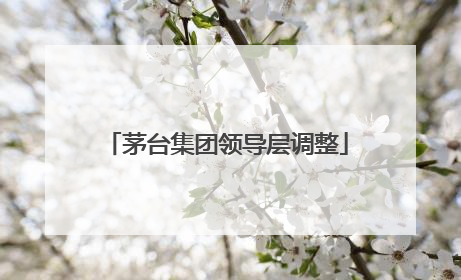 茅台集团领导层调整