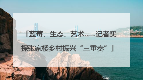 蓝莓、生态、艺术……记者实探张家楼乡村振兴“三重奏”