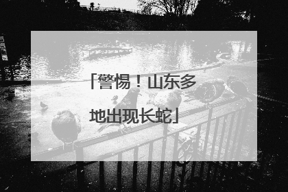 警惕！山东多地出现长蛇