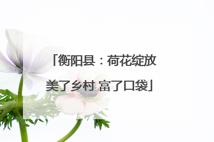 衡阳县：荷花绽放 美了乡村 富了口袋