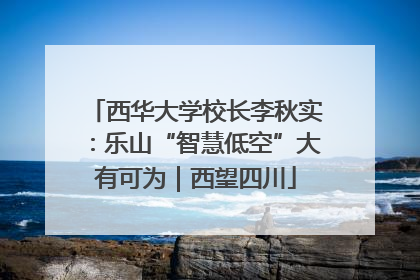 西华大学校长李秋实：乐山“智慧低空”大有可为｜西望四川