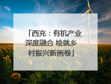 西充：有机产业深度融合 绘就乡村振兴新画卷
