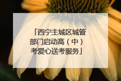 西宁主城区城管部门启动高（中）考爱心送考服务