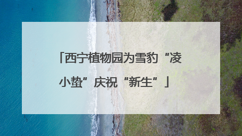 西宁植物园为雪豹“凌小蛰”庆祝“新生”