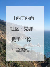 西宁西台社区：党群携手 “粽”享温情
