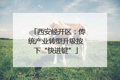 西安经开区：传统产业转型升级按下“快进键”