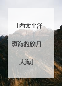 西太平洋斑海豹放归大海