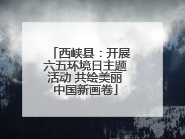 西峡县：开展六五环境日主题活动 共绘美丽中国新画卷