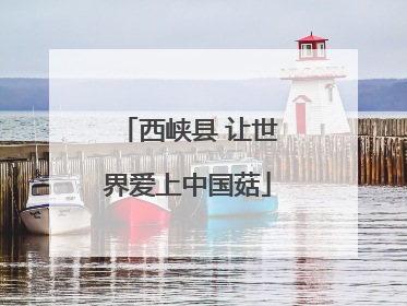 西峡县 让世界爱上中国菇