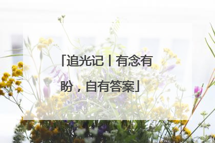 追光记丨有念有盼，自有答案