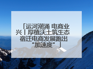运河潮涌 电商业兴丨厚植沃土筑生态 宿迁电商发展跑出“加速度”