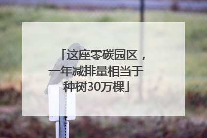 这座零碳园区，一年减排量相当于种树30万棵