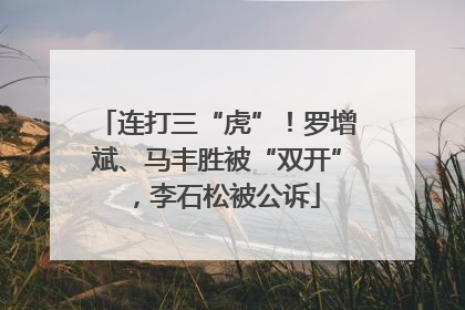 连打三“虎”！罗增斌、马丰胜被“双开”，李石松被公诉