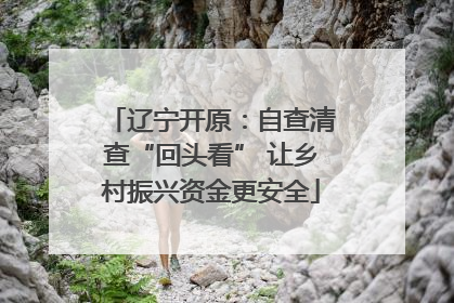 辽宁开原：自查清查“回头看” 让乡村振兴资金更安全