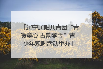 辽宁辽阳共青团“青暖童心 古韵承今”青少年观剧活动举办