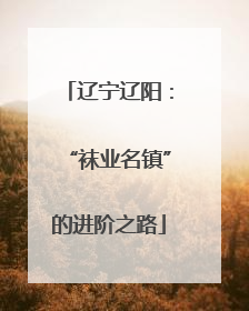 辽宁辽阳：“袜业名镇”的进阶之路