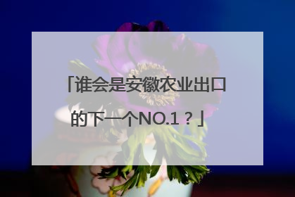 谁会是安徽农业出口的下一个NO.1？