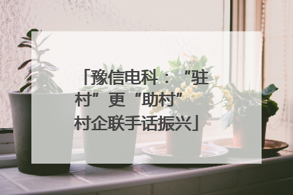 豫信电科：“驻村”更“助村” 村企联手话振兴