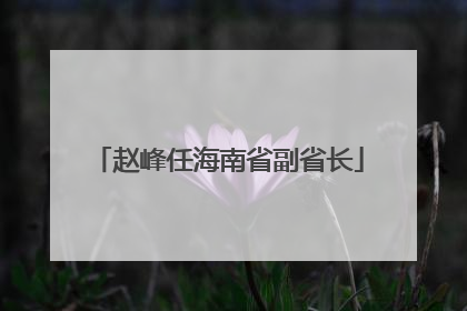 赵峰任海南省副省长
