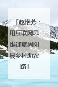赵艳芳：用互联网思维铺就固阳县乡村助农路