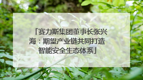 赛力斯集团董事长张兴海：期望产业链共同打造智能安全生态体系