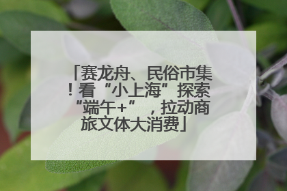 赛龙舟、民俗市集！看“小上海”探索“端午+”，拉动商旅文体大消费