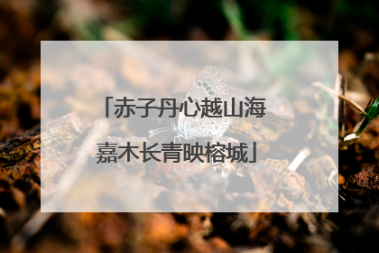 赤子丹心越山海 嘉木长青映榕城