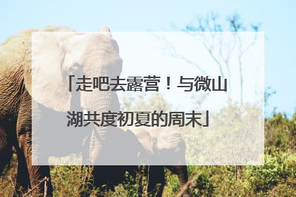 走吧去露营！与微山湖共度初夏的周末