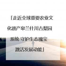 走近全球重要农业文化遗产皋兰什川古梨园系统 守护生态瑰宝 激活发展动能