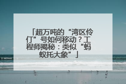 超万吨的“湾区伶仃”号如何移动？工程师揭秘：类似“蚂蚁托大象”