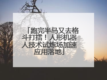 跑完半马又去格斗打擂！人形机器人技术试炼场加速应用落地