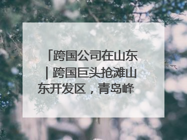 跨国公司在山东｜跨国巨头抢滩山东开发区，青岛峰会拉开帷幕